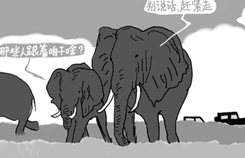 视点|象群可以“出圈”，围观不能出格