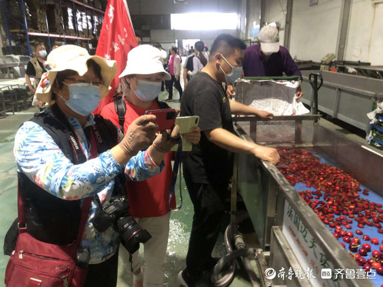 探秘大樱桃智能分拣，感受乡间艺术魅力！30余位壹粉走进福山