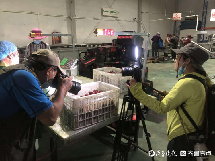 探秘大樱桃智能分拣，感受乡间艺术魅力！30余位壹粉走进福山