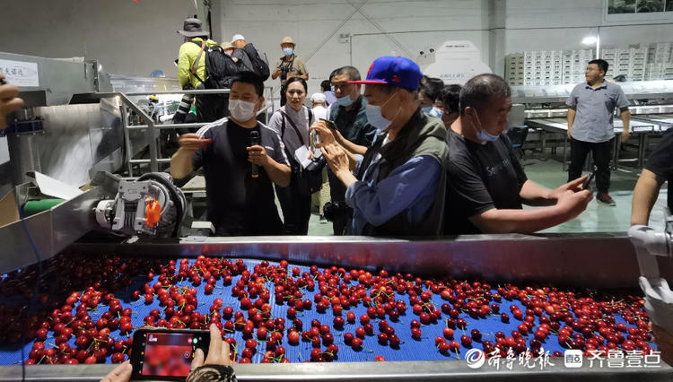 探秘大樱桃智能分拣，感受乡间艺术魅力！30余位壹粉走进福山