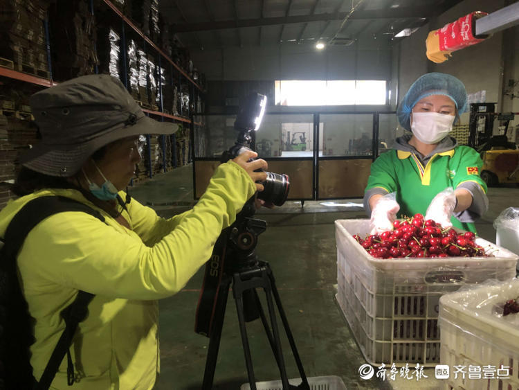 探秘大樱桃智能分拣，感受乡间艺术魅力！30余位壹粉走进福山