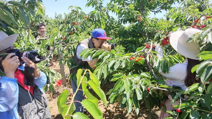 果然视频｜乘兴而来满意而归，齐鲁壹点“粉丝节”走进福山