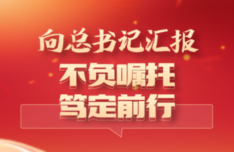 长图|向总书记汇报：不负嘱托，笃定前行