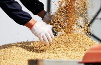 习风润齐鲁②|这个永恒的课题，任何时候都不能放松