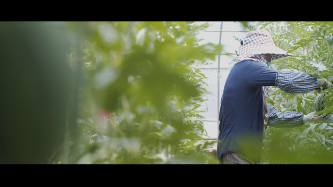 果然视频|百年记忆之春来涧溪