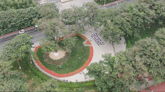 果然视频｜百年记忆之焦桐为证