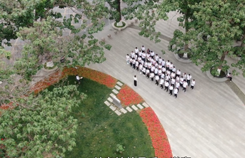 红色齐鲁｜泡桐为证，老焦遂了平生意