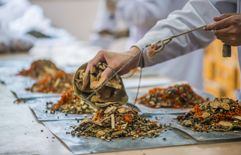 医心向党|专访烟台市卫健委副主任张葵阳：健康烟台，百姓医靠