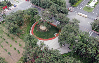 建党百年|“县委书记的榜样”焦裕禄：不朽老焦，挺立如桐