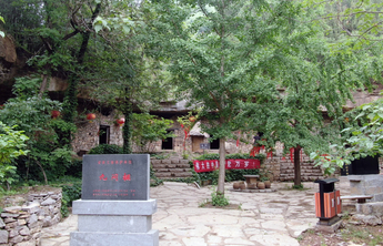 建党百年|穷山村变身“沂蒙明珠”，金银花开九间棚