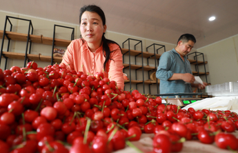 《沂蒙新篇》海报｜小康路上，“六姐妹”走上致富路