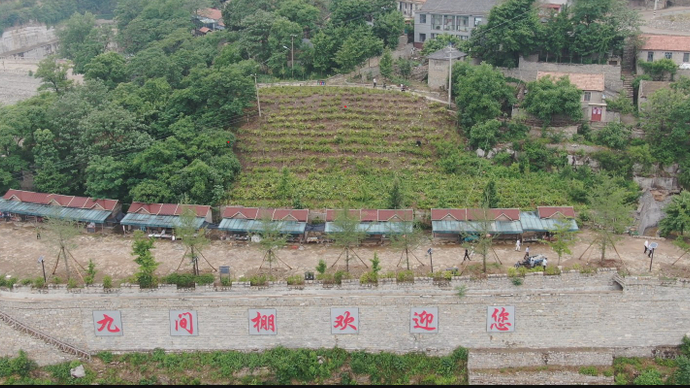 果然视频｜百年记忆之花开此间