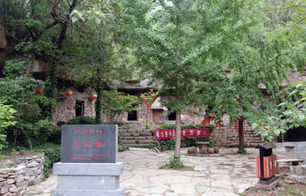 红色齐鲁｜花开此间，穷山村美丽蝶变