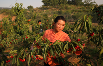 建党百年|扎根红色热土，沂蒙革命老区焕发新生机