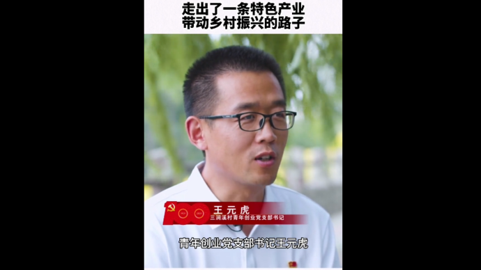 果然视频|三涧溪村：支部建在产业上，走出了一条乡村振兴新路子