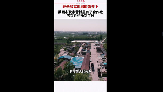 果然视频|莱西经验扎根基层，这里的老百姓都挣到了钱