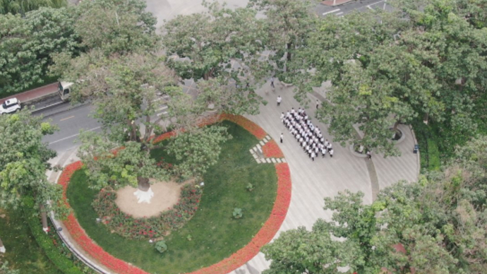 果然视频|“焦桐”守护人魏善民： 见到这棵树就像见到焦书记