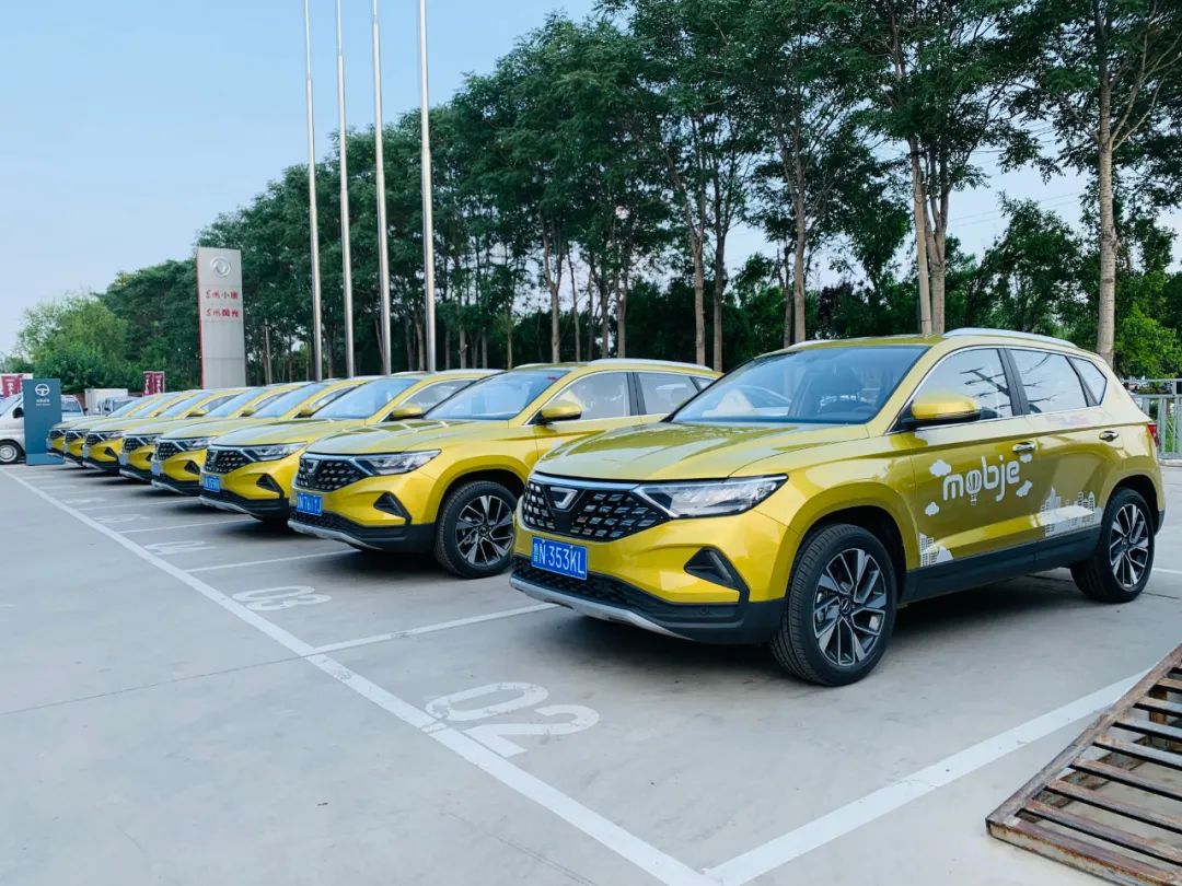 你好 德州,摩捷来了