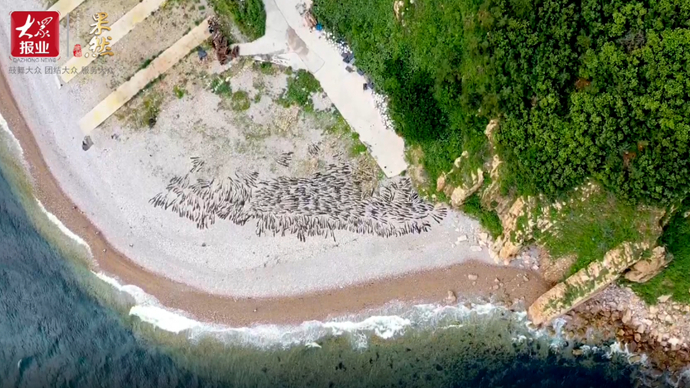 果然视频|航拍“海上仙岛”，百名壹粉邂逅“海上桃花源”