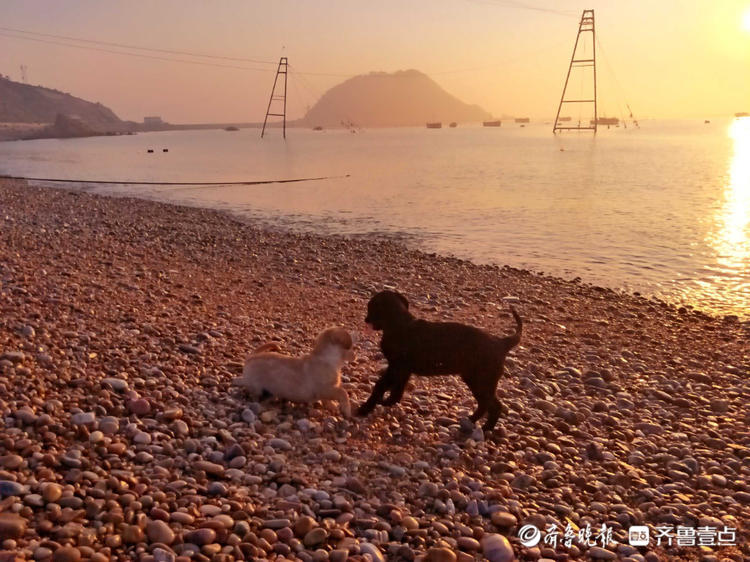 年中粉丝节|壮观瑰丽！走进烟台南隍城岛，感受日出东方的魅力