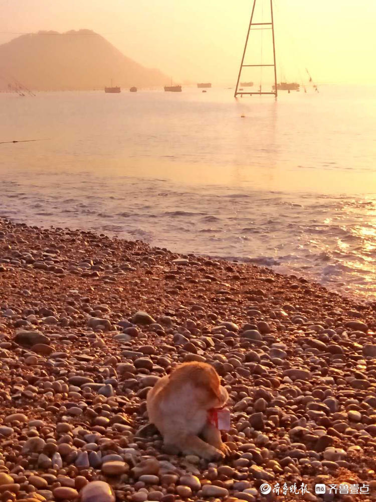 年中粉丝节|壮观瑰丽！走进烟台南隍城岛，感受日出东方的魅力