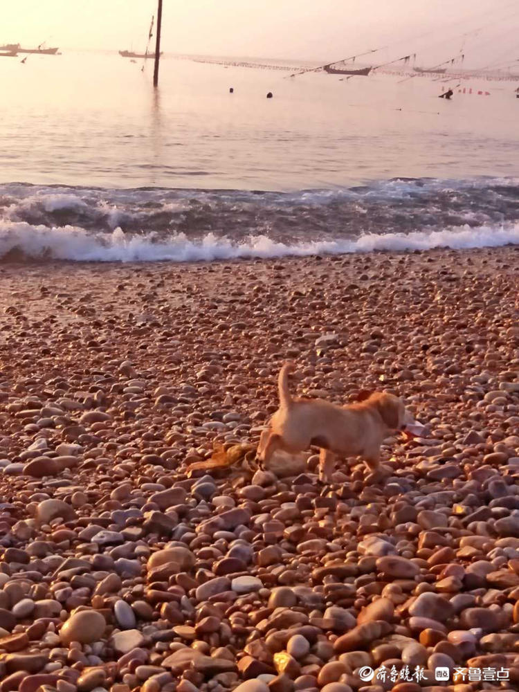 年中粉丝节|壮观瑰丽！走进烟台南隍城岛，感受日出东方的魅力