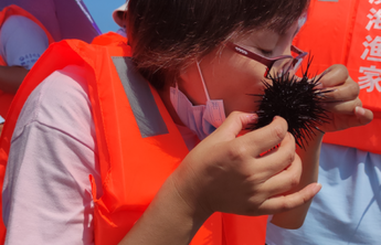 壹粉们一早乘船体验海上捕捞直呼：又鲜又肥，生吃海胆太带劲了