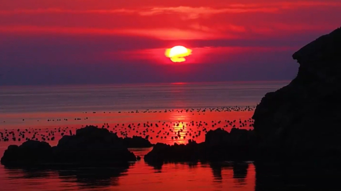 果然视频｜渤海深处，壹点粉丝团在南隍城岛偶遇最美落日