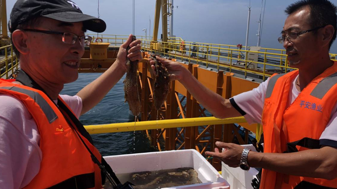 果然视频|大鲍鱼、大海参、大海胆…“国鲍一号”让壹粉大开眼界