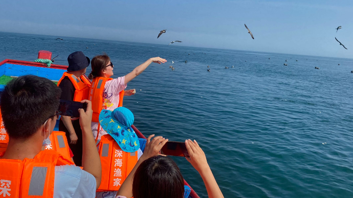 果然视频|邂逅海上桃花源，壹粉乘船出发体验最美海岛风光