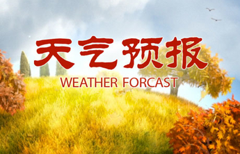 局部100mm以上！台风“烟花”影响，聊城大到暴雨局部大暴雨