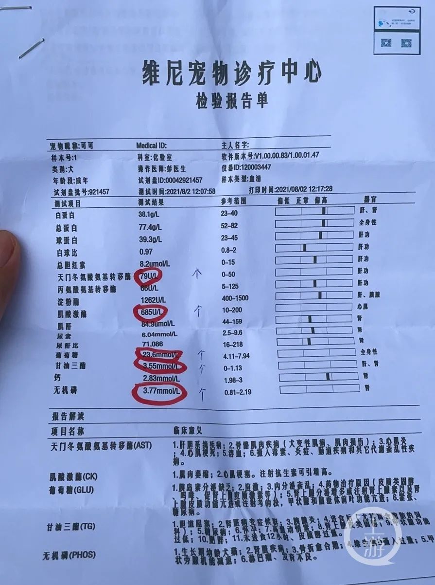 贵州一小区内10只宠物犬接连蹊跷暴亡疑遭投毒致死