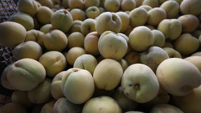 果然视频·走进宝藏村镇|从前开着拖拉机去送罐头，现在远销国外