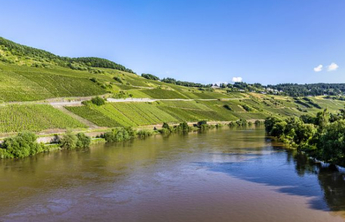 第二轮第四批中央生态环境保护督察将全面启动，将进驻山东