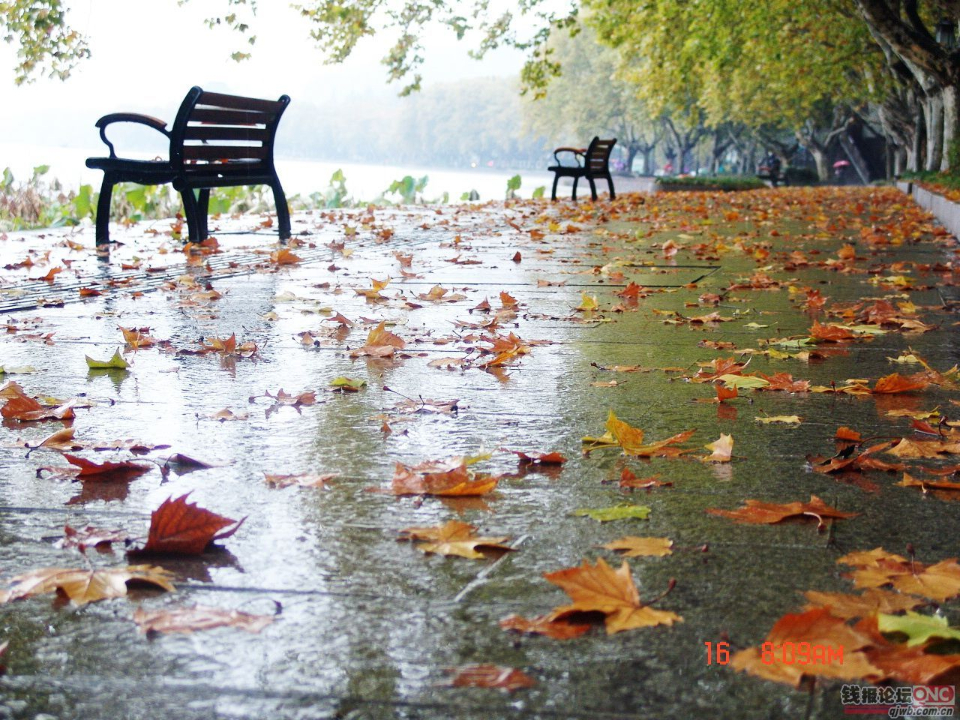 【青未了王义尚专栏1】秋雨是剂良药(外五 首)