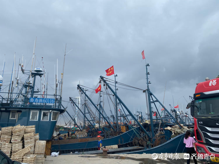 又到一年赏味季，开海啦！