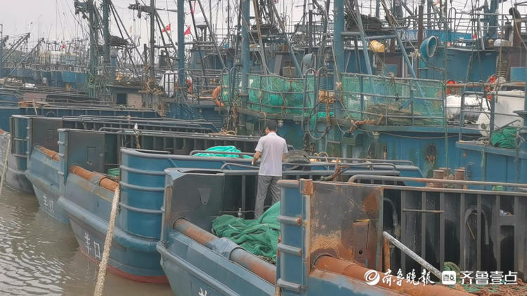 又到一年赏味季，开海啦！