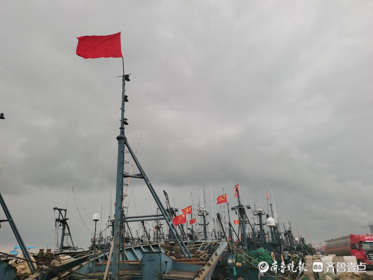 又到一年赏味季，开海啦！