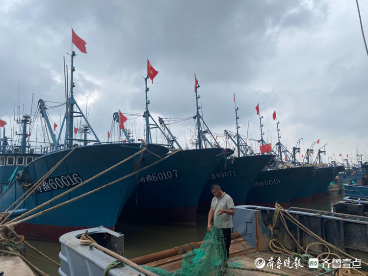 又到一年赏味季，开海啦！