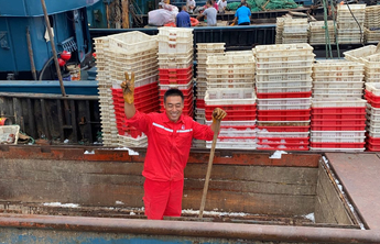 伏季休渔即将结束，潍坊寿光491艘渔船整装待发