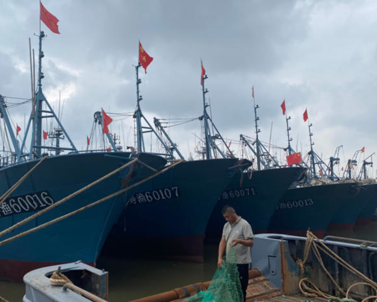 又到一年开海季！9月1日，经过四个月的漫长等待，美味海鲜终于要回归啦！千帆竞发、鱼虾满仓……壹点记者带你共赴“海鲜盛宴”，一起感受山东开海大场面。