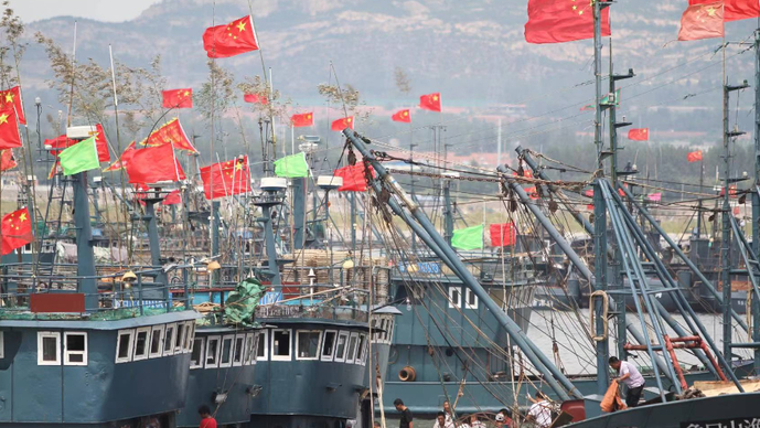 壹直播丨9月1日，在日照黄海中心渔港，记者带您“云开海”！