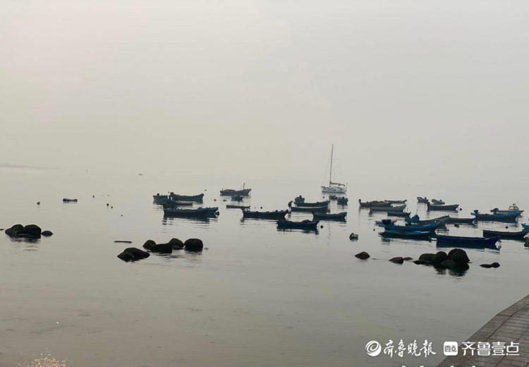 开海啦！威海码头多艘渔船整装待发，跟情报员迎接大船归来！