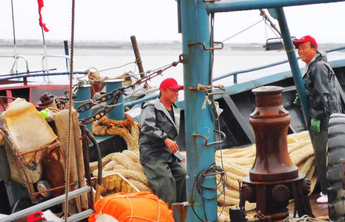 披红挂彩今日开海！情报员镜头下的胶州码头：渔民期待丰收第一网