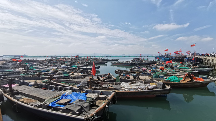 壹直播|直击烟台开海盛况！市民在东口码头争购开海“第一鲜”