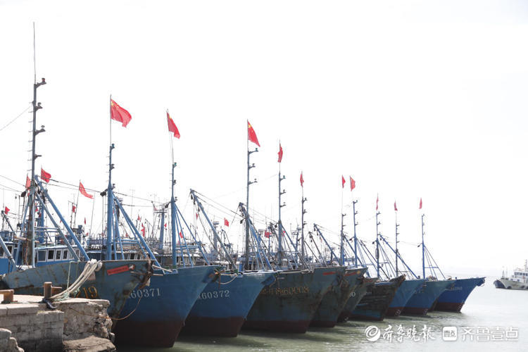 追"鲜"！烟台初旺渔港渔民整装待发