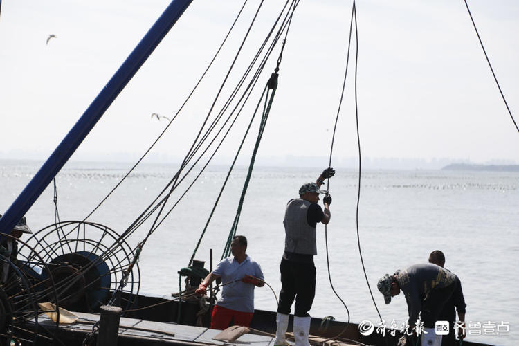 追"鲜"！烟台初旺渔港渔民整装待发