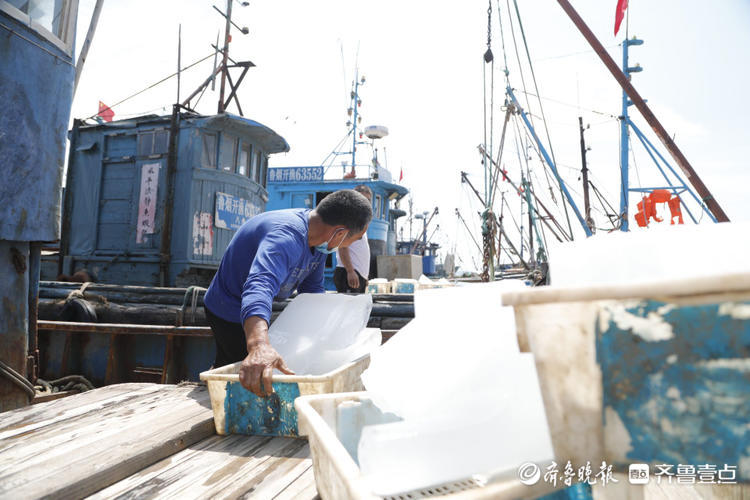 追"鲜"！烟台初旺渔港渔民整装待发