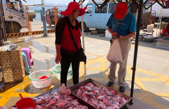 等"鲜"来!烟台市民"装备齐全"盼望渔船归港