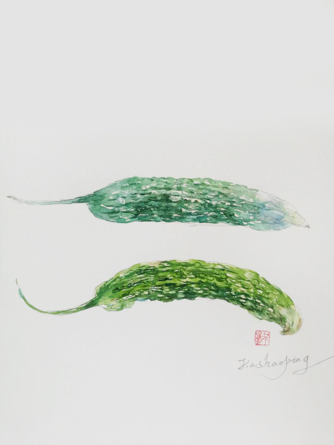 贾绍萍轻水彩系列:一日三餐之苦瓜-齐鲁晚报·齐鲁壹点
